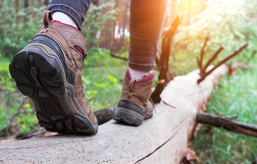 Über Stock und Stein:WUNDERMITTEL WANDERN