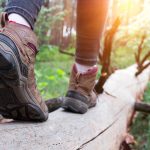 Über Stock und Stein:WUNDERMITTEL WANDERN