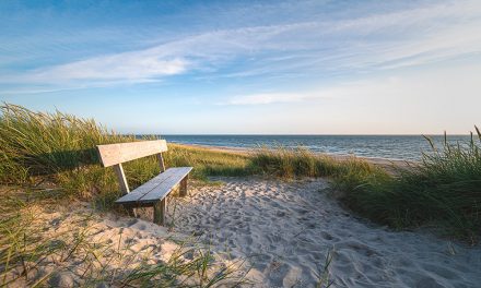 Gesund im Norden